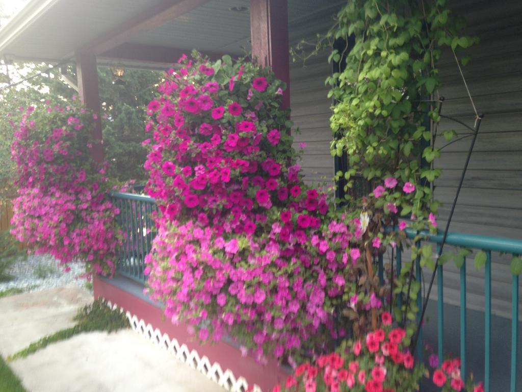 Eagle'S Nest B&B Lake Country Номер фото