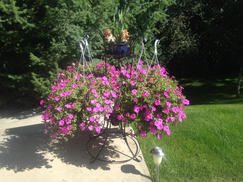 Eagle'S Nest B&B Lake Country Экстерьер фото